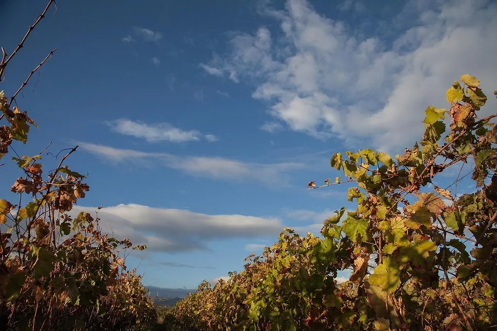 Country house Feudo Vagliasindi -Wine Experience- Guest House Randazzo Italy