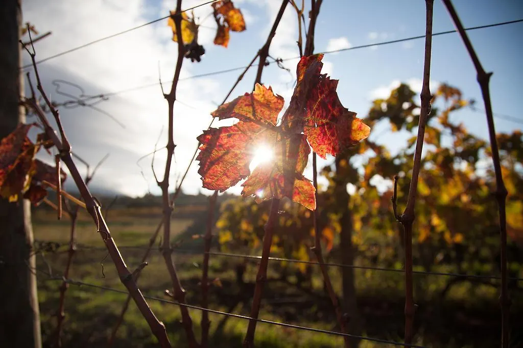 Feudo Vagliasindi -Wine Experience- Guest House Randazzo