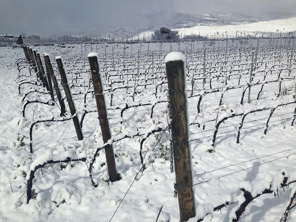 Feudo Vagliasindi -Wine Experience- Guest House Randazzo 0*,  Italy