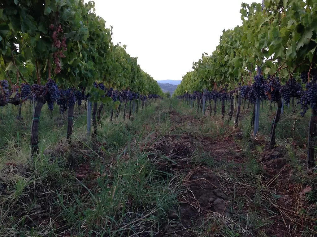 Feudo Vagliasindi -Wine Experience- Guest House Randazzo