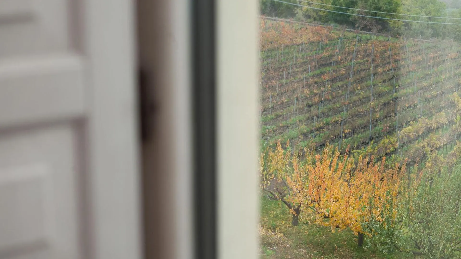 Feudo Vagliasindi -Wine Experience- Guest House Randazzo Italy
