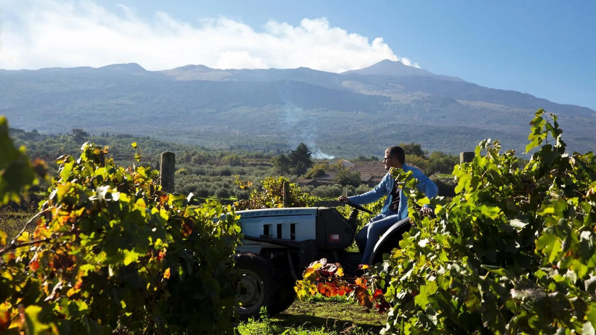 Feudo Vagliasindi -Wine Experience- Guest House Randazzo Country house